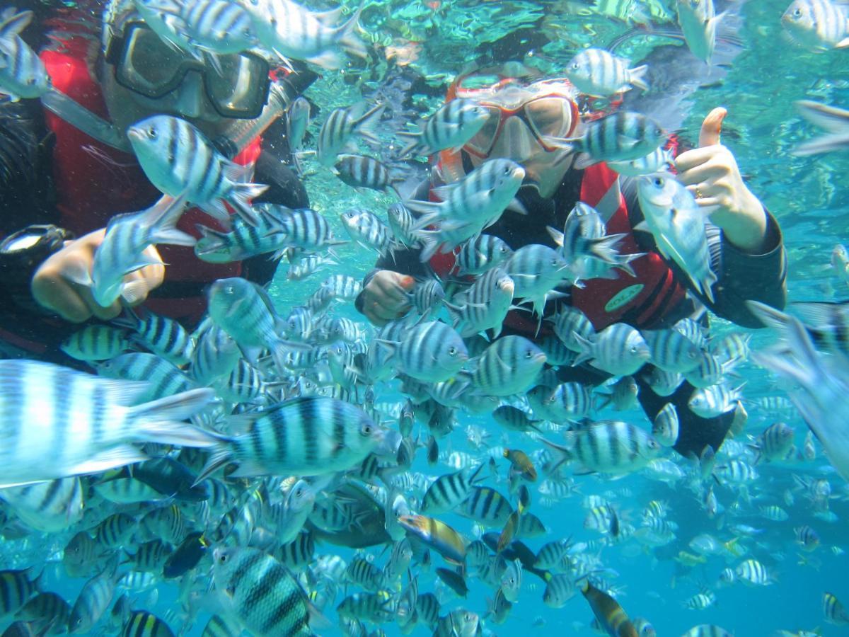 Go Deeper Tioman Hotel Екстериор снимка